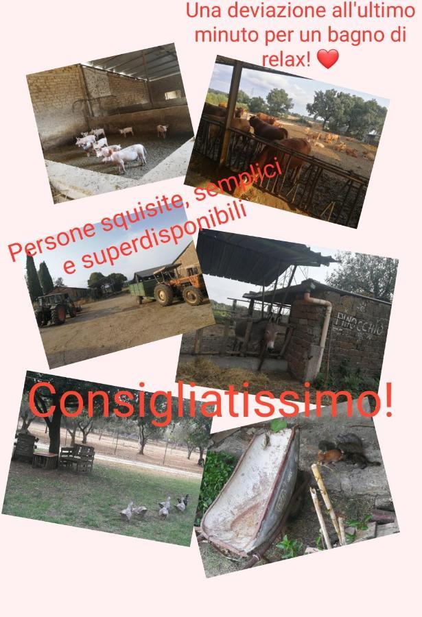 Biobagnolese Séjour à la ferme *