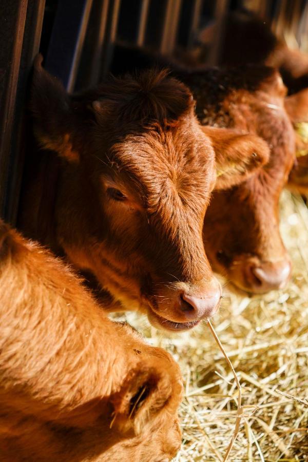 Biobagnolese Séjour à la ferme