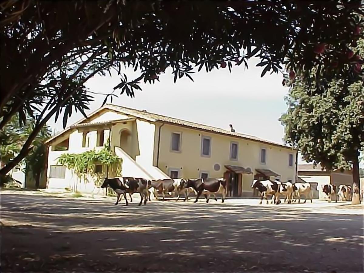Séjour à la ferme Biobagnolese Orte